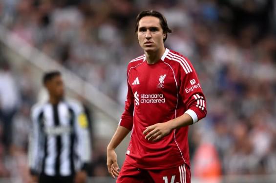 岁新星王钰,栋险象环生,直言不足拒,开云体育,开云体育官网,开云体育app,开云体育app下载