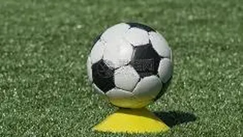 享受体育时光，快乐助力成长！