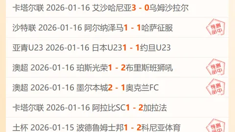 步行者击败灰熊，哈利伯顿砍下22分送出9助攻